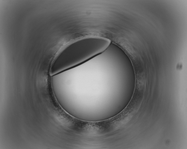 X0000094320207200711091349