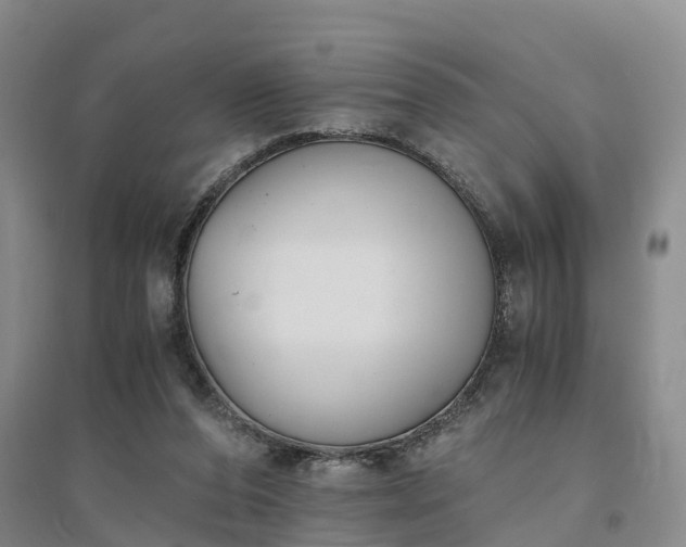 X0000094320208200711091349