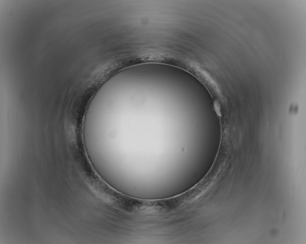 X0000094320209200711091349