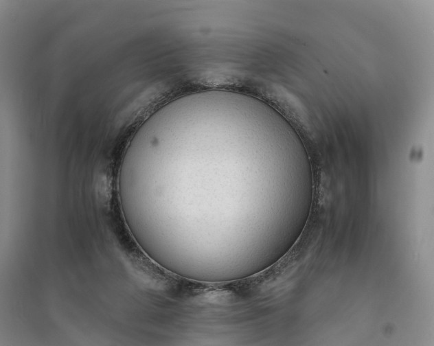 X0000094320210200711091349