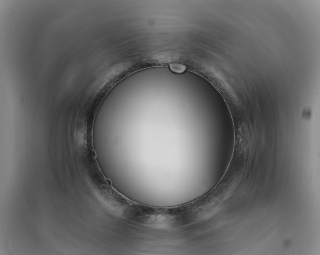 X0000094320212200711091349