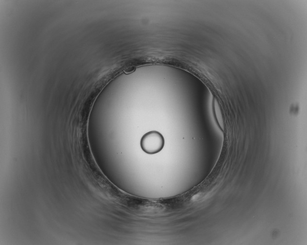 X0000094320215200711091349