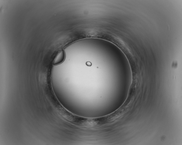 X0000094320217200711091349