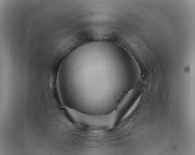 X0000094320219200711091349