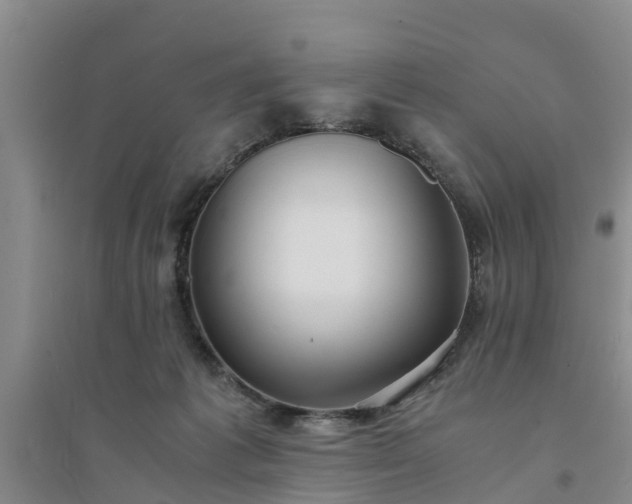 X0000094320221200711091349