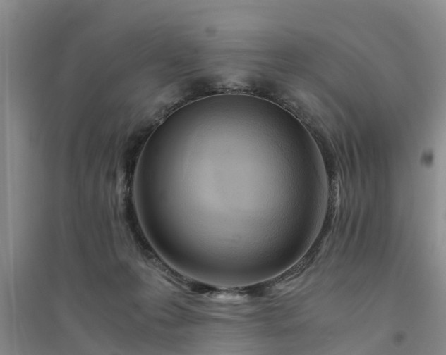 X0000094320223200711091349