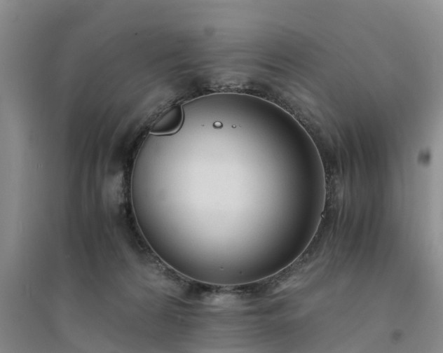 X0000094320224200711091349