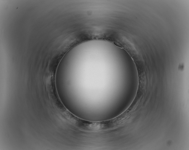 X0000094320225200711091349