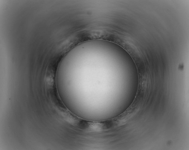 X0000094320226200711091349