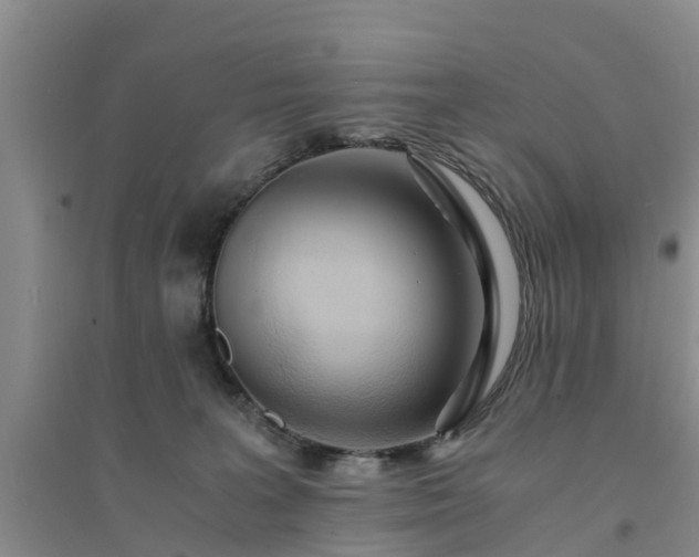 X0000094320227200711091349
