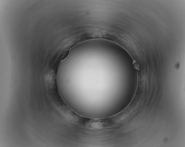 X0000094320228200711091349