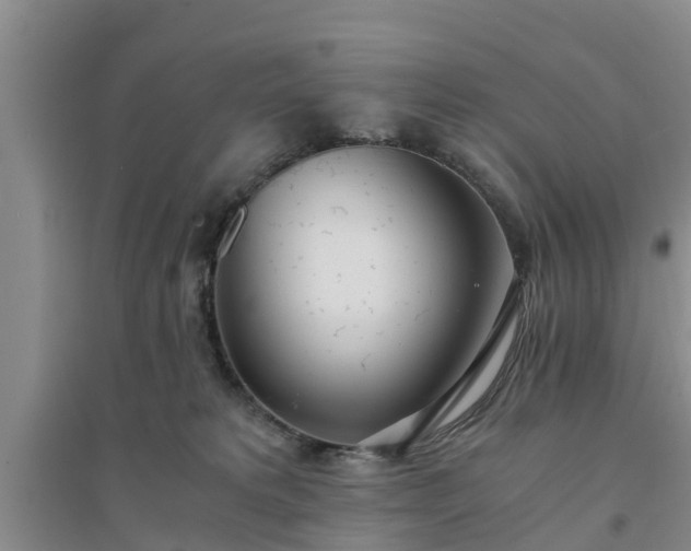 X0000094320229200711091349