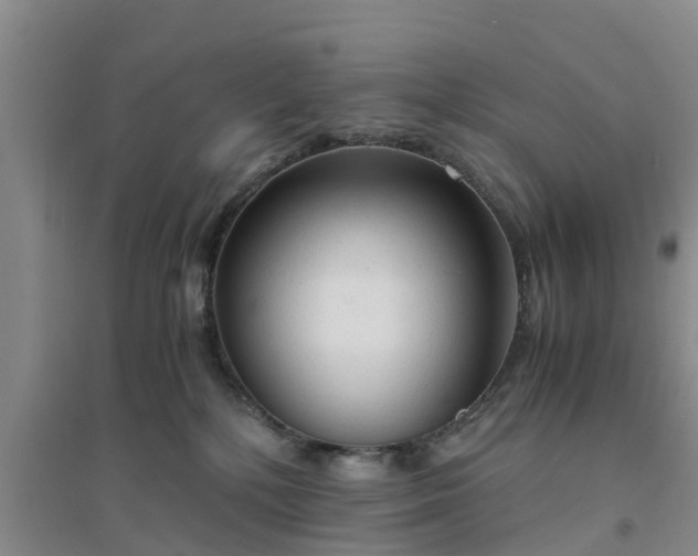 X0000094320232200711091349