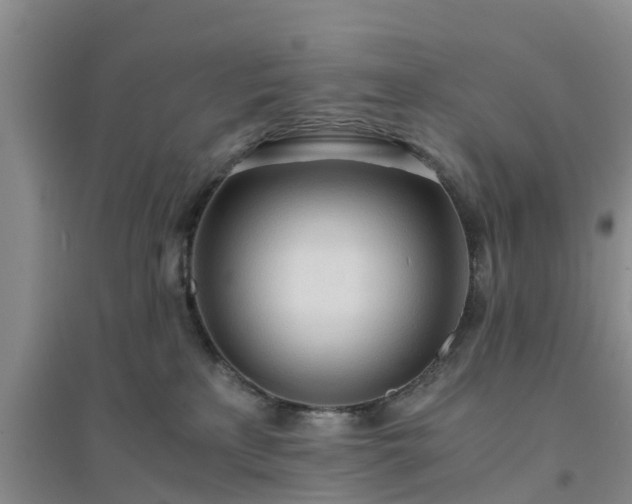 X0000094320233200711091349