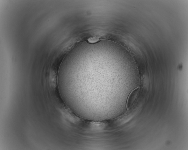 X0000094320234200711091349