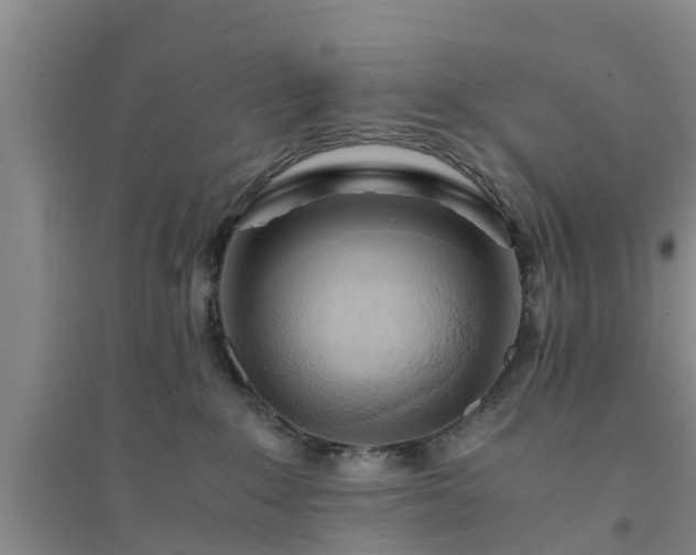 X0000094320235200711091349