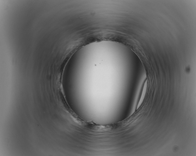 X0000094320239200711091348
