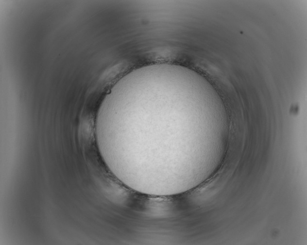 X0000094320240200711091348
