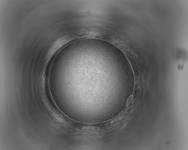 X0000094320242200711091348