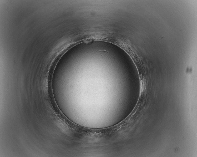 X0000094320243200711091348