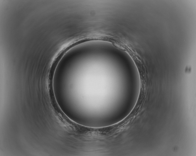 X0000094320244200711091348
