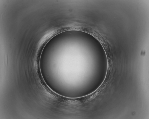 X0000094320245200711091348