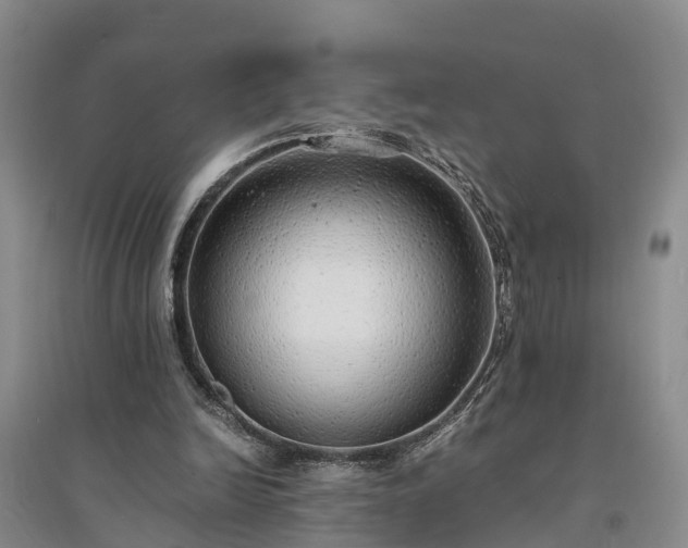 X0000094320246200711091348