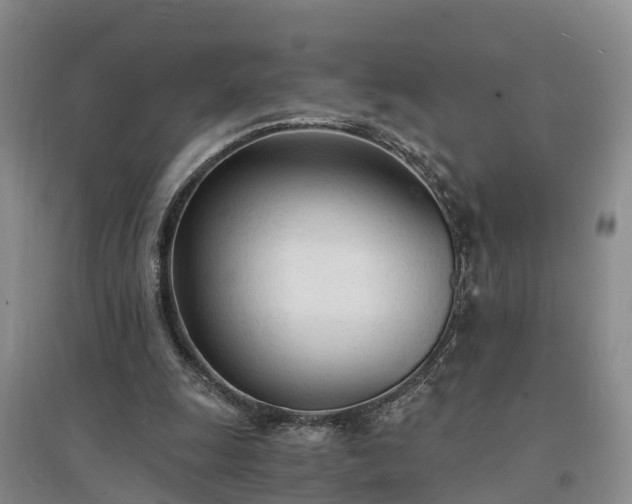 X0000094320247200711091348