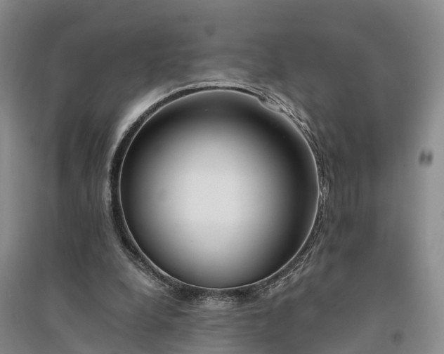 X0000094320248200711091348