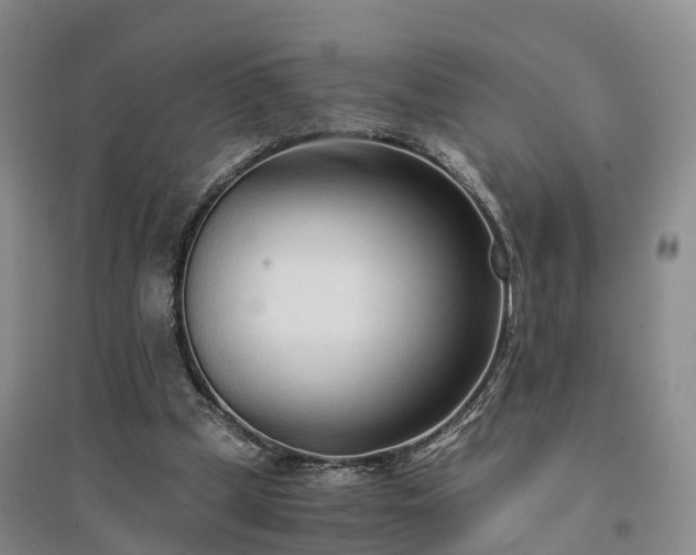 X0000094320249200711091348