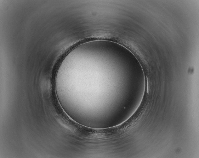 X0000094320252200711091348