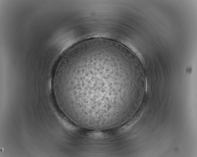 X0000094320253200711091348