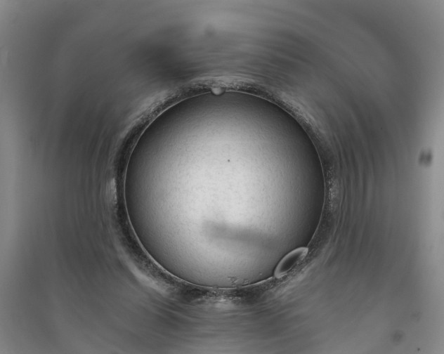 X0000094320254200711091348