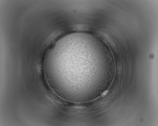 X0000094320255200711091348