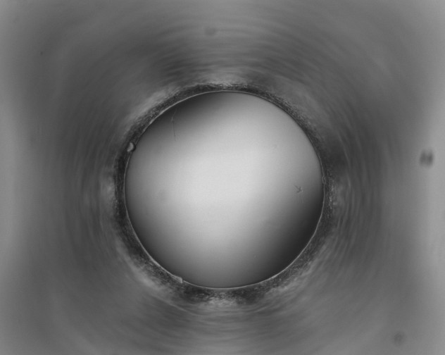 X0000094320256200711091348