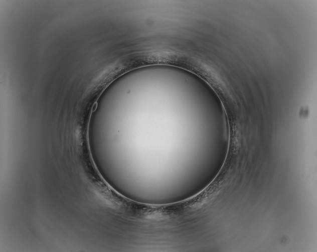 X0000094320258200711091348