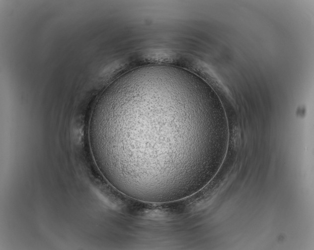 X0000094320259200711091348