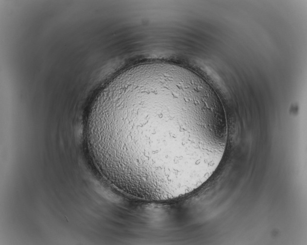 X0000094320261200711091348