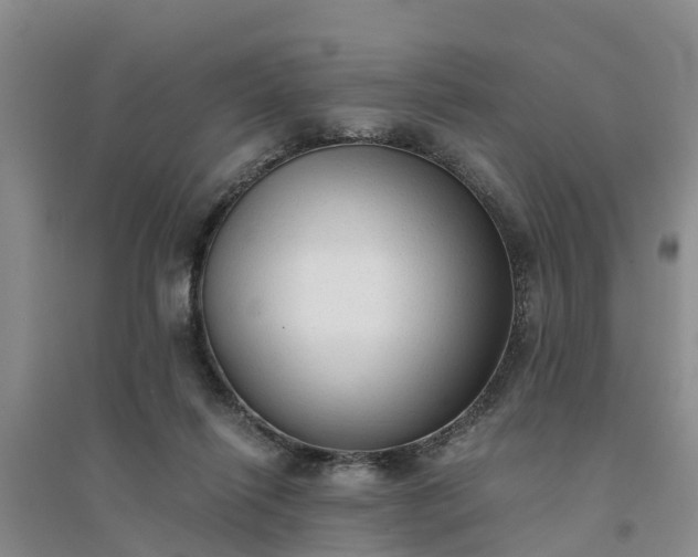 X0000094320262200711091348