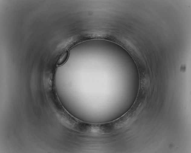 X0000094320264200711091348