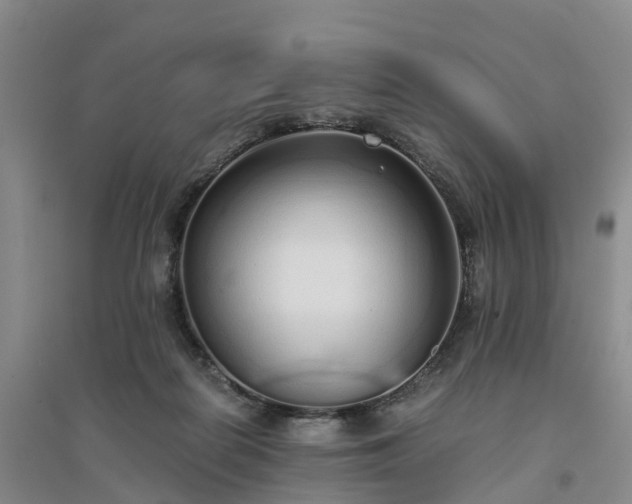 X0000094320266200711091348