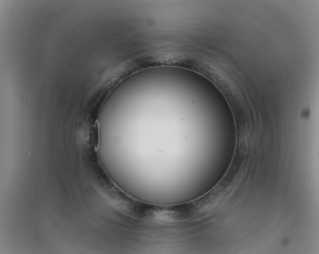 X0000094320268200711091348