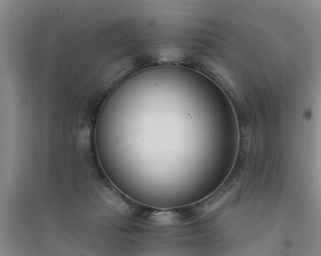 X0000094320269200711091348