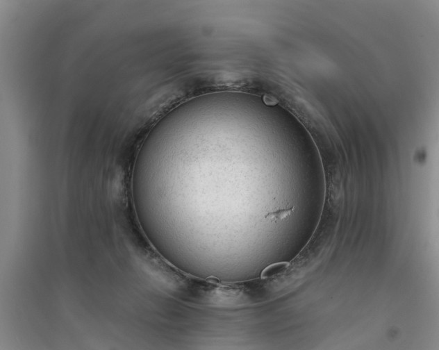X0000094320270200711091348