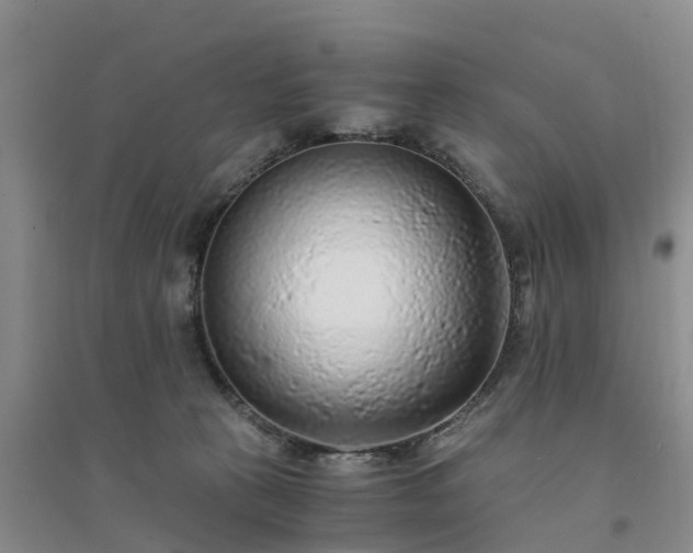 X0000094320273200711091348