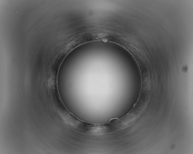 X0000094320274200711091348