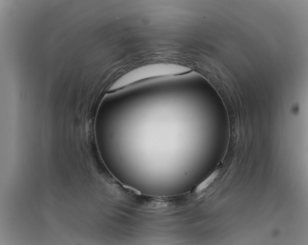 X0000094320276200711091348