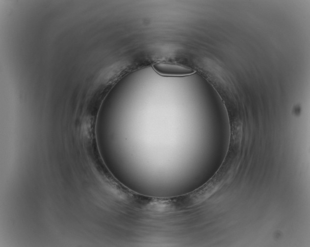 X0000094320280200711091348