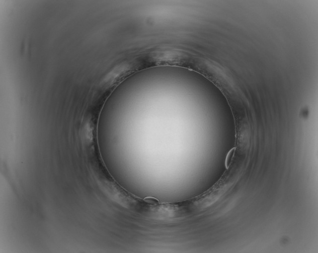 X0000094320282200711091348