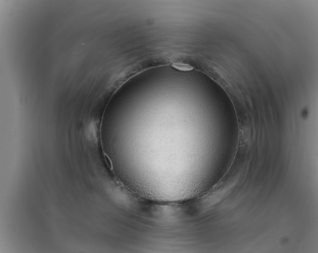 X0000094320286200711091348